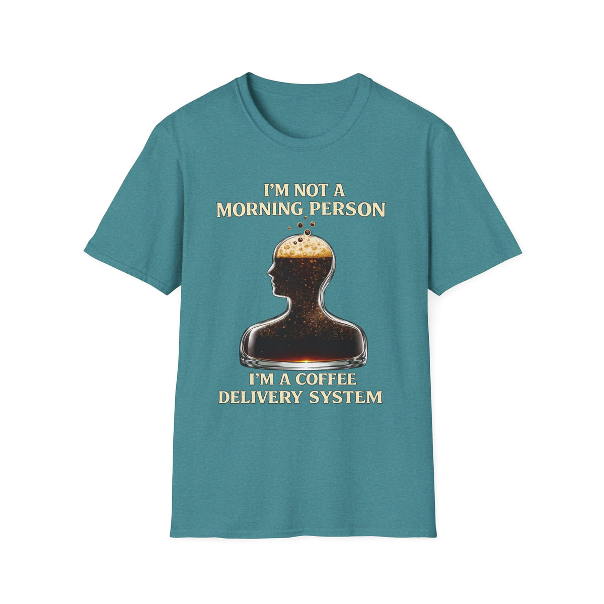 Not a Morning Person T-Shirt